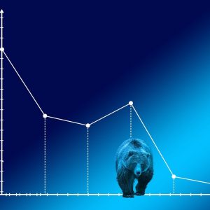bear market, baisse, courses-4159033.jpg