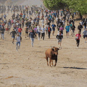 pic2025-11-17 3-59-28 PM