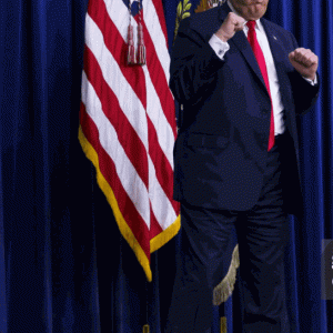 pic2025-11-24 4-31-08 PM