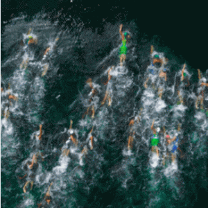 pic2025-11-29 7-51-51 AM