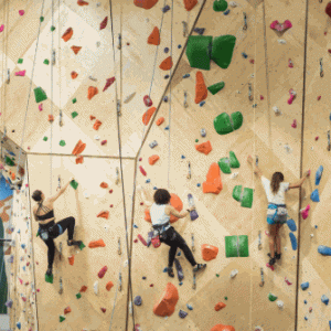 pic2025-12-09 4-05-09 PM