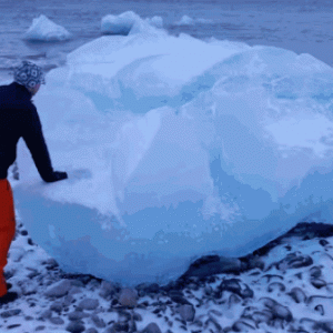 pic2026-01-20 4-22-39 PM