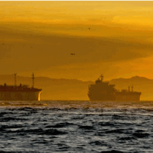 pic2026-04-14 4-02-59 PM