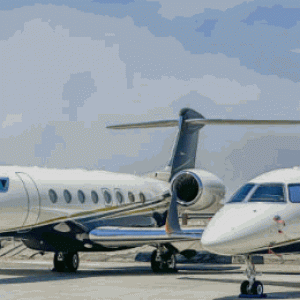 pic2026-04-17 6-08-55 AM