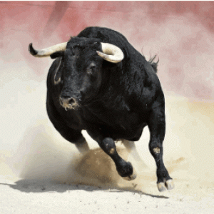 pic2026-04-25 8-38-05 AM