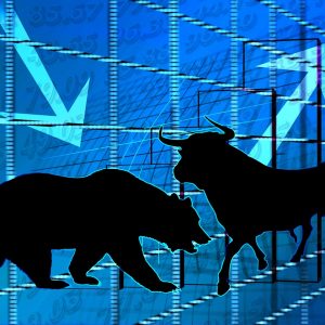 stock exchange, bull, bear-642896.jpg